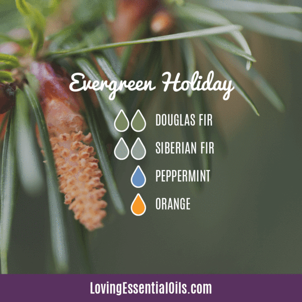 Mezclas de difusores de aceites esenciales Evergreen - Evergreen Holiday con abeto douglas, abeto siberiano, menta y naranja